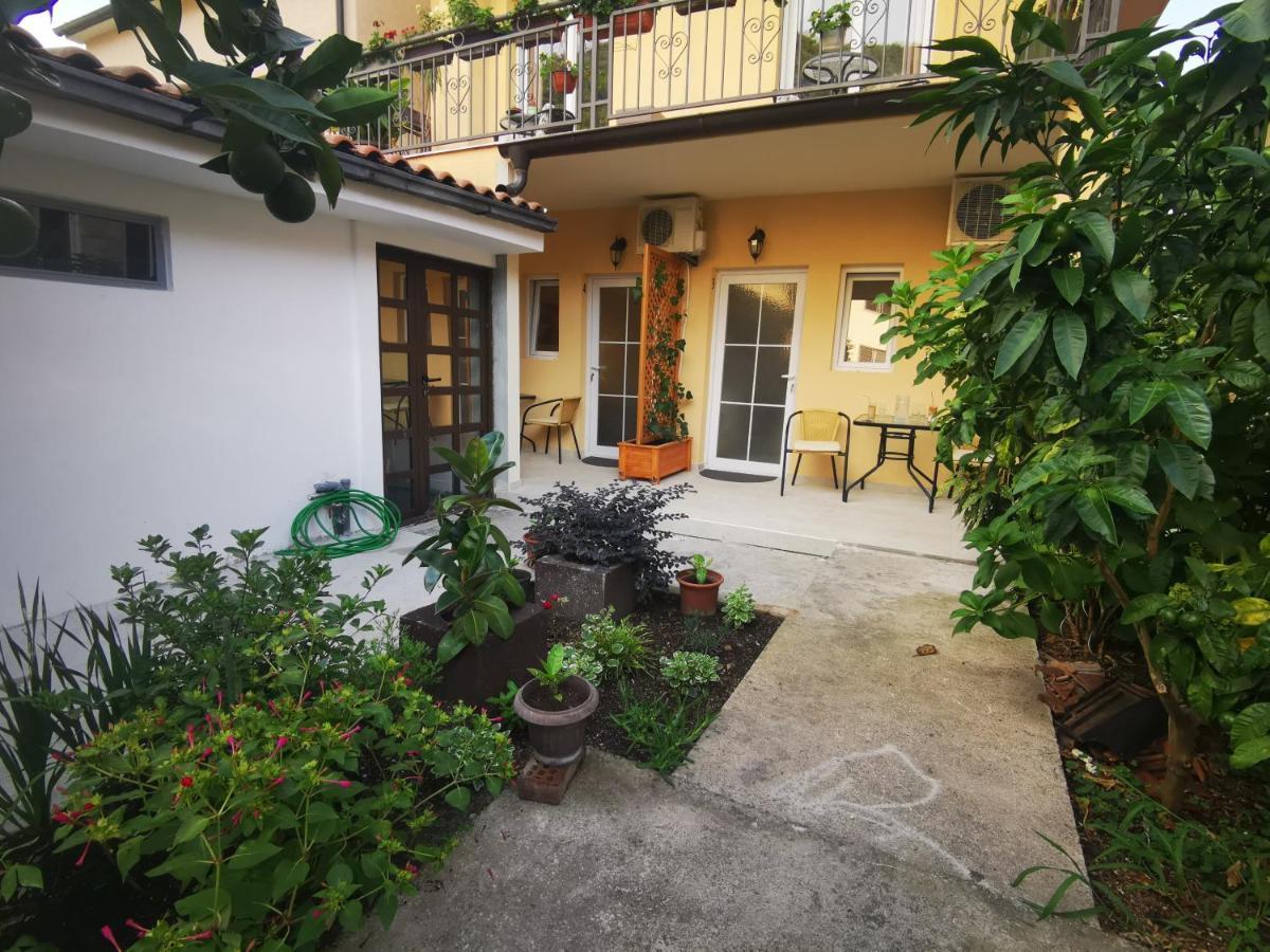 Radovic Apartments Budva Dış mekan fotoğraf
