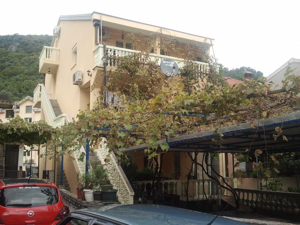 Radovic Apartments Budva Oda fotoğraf