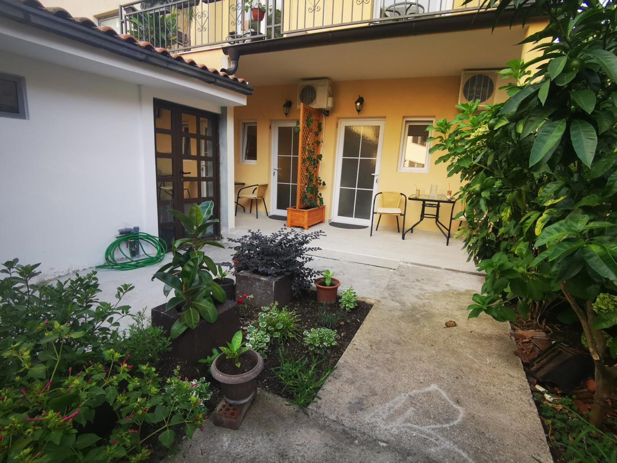 Radovic Apartments Budva Oda fotoğraf